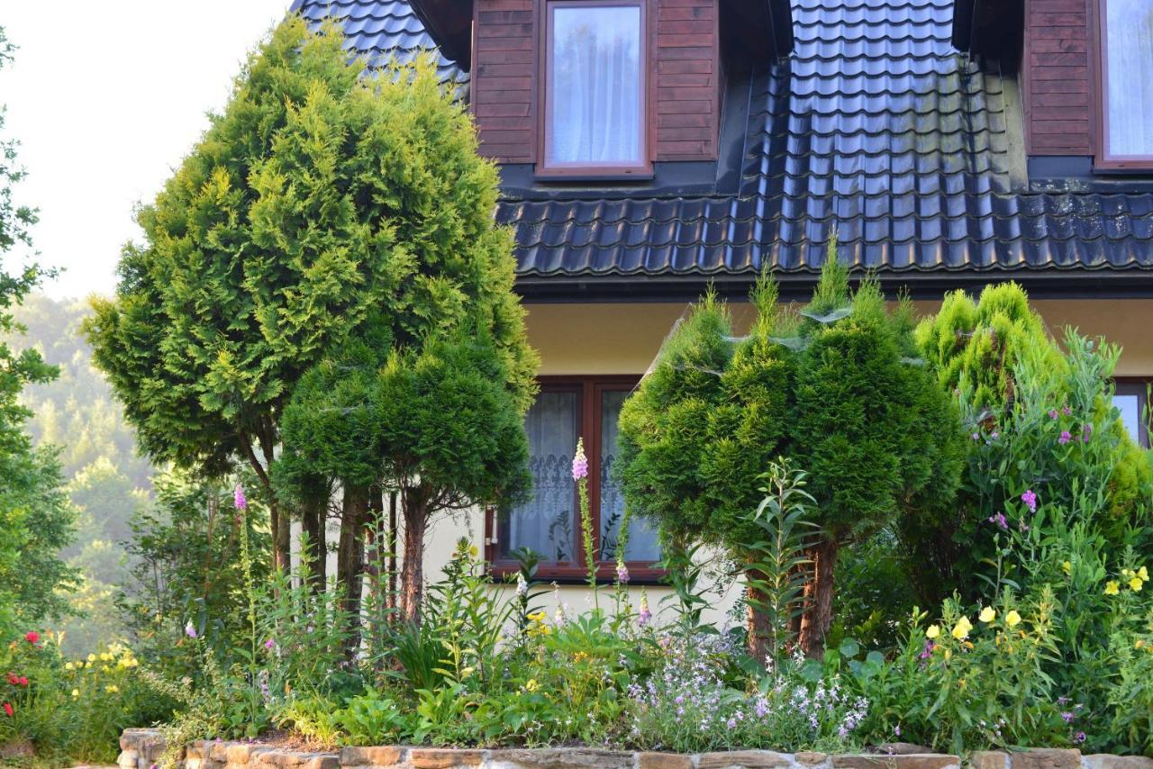Zakole Sanu Villa Dubiecko Екстериор снимка